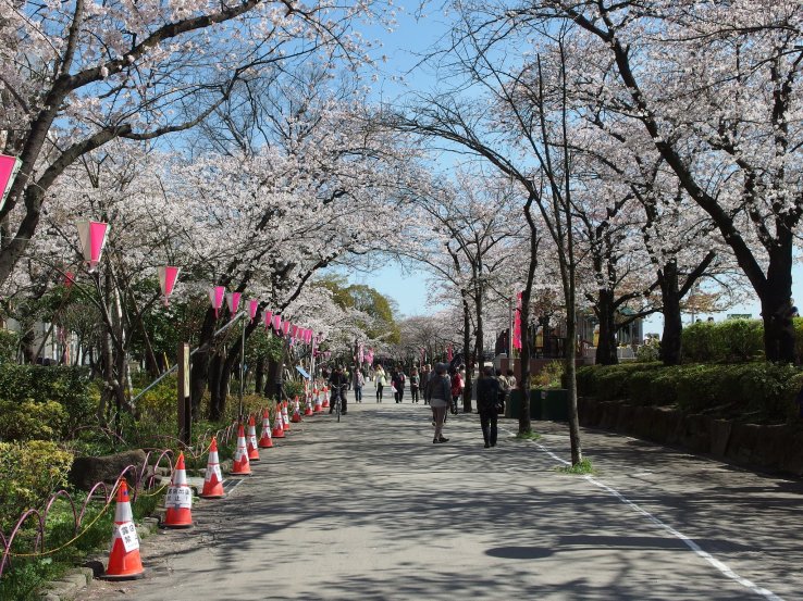 Sumida Park