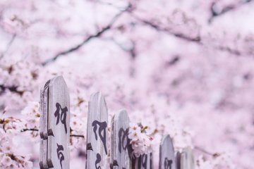 Yanaka Cemetery