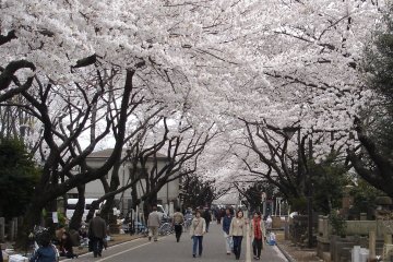 Yanaka Cemetery