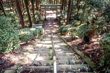 The homeward path