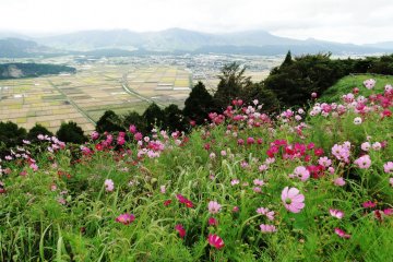 Mt Aso's Nakadake crater is just visible on the horizon