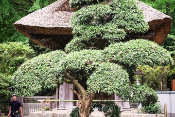The bell tower with thatched roof