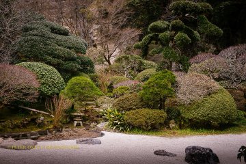 Backdrop to the zen sand garden