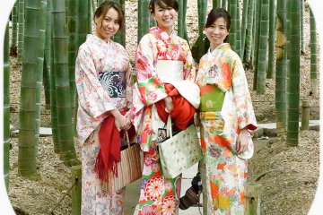 Girls wearing traditional kimonos in the bamboo grove