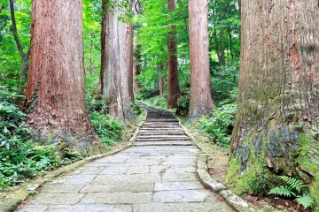 Mount Haguro - Yamagata Prefecture, Japan - One of the three sacred mountains of Dewa Province