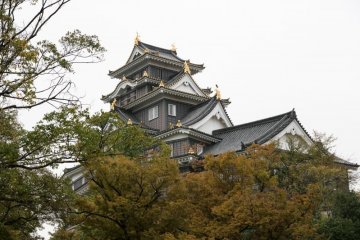 The Taxi Driver in Okayama