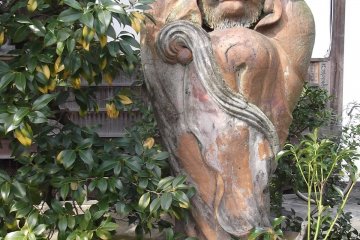 An outdoor Daruma among the foliage