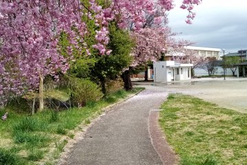 A paved path borders one edge of the park