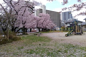 A small playground will keep the little ones happy