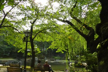 <p>Le jardin derri&egrave;re le temple est un spot reposant pour s'asseoir et penser</p>