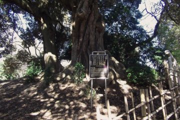 Tama City - History & Landmarks