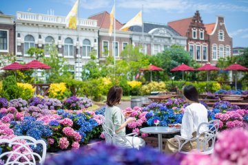 5 Hydrangea Spots Across Kyushu