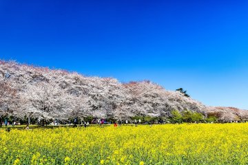 Saitama's Six Nikko Kaido Post Towns