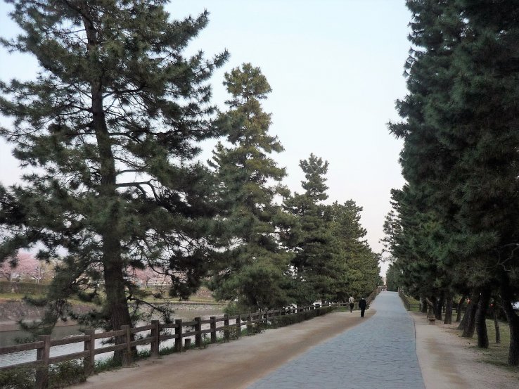 Soka Matsubara promenade