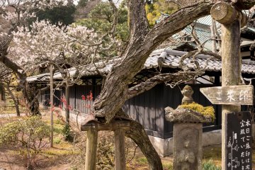 Tokeiji Temple.