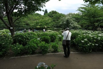 Sagamihara Kita Park