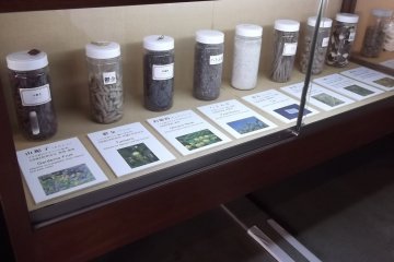 Apothecary herbs