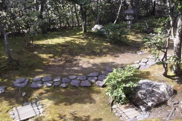 In the garden