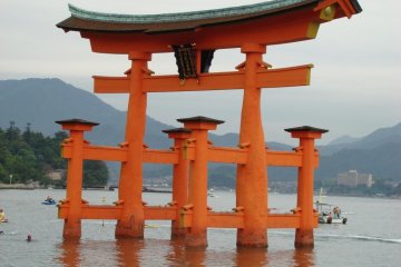 Find Out What Miyajima Has to Offer