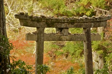 Momiji-dani Park on Miyajima