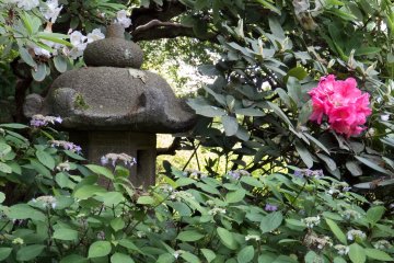 Colourful Sights in Jomyo-ji Temple