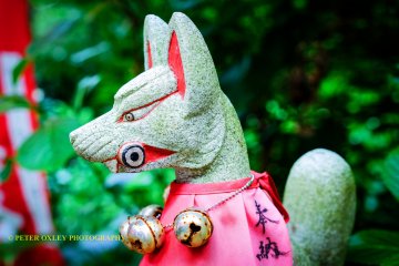 Kamakura Camera - Sasuke Inari