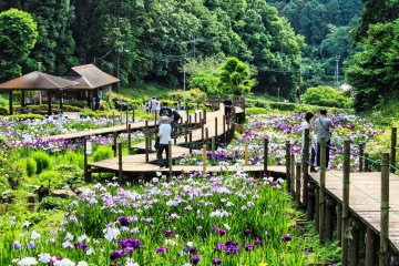 The Town of Ninomiya