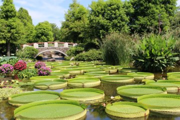 The park has become Insta-famous for stunning scenes like this