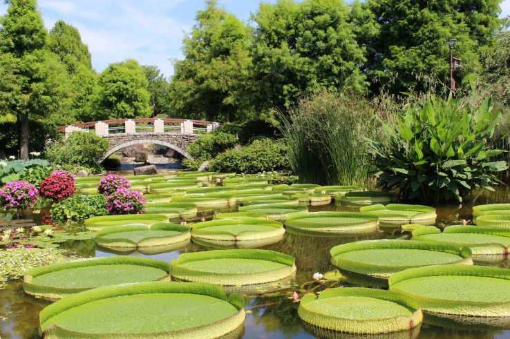 The park has become Insta-famous for stunning scenes like this