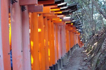 Senbon Torii.