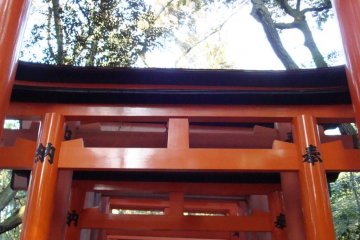 Senbon Torii.