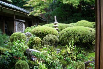 The hermitage gardens at Kyoto