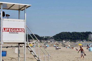 Lifeguard on duty