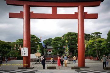 Kamakura Camera - Tanabata Festival
