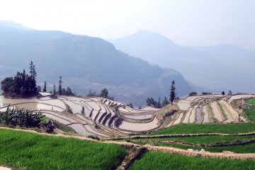 Yunnan Festival in Tokyo 2022