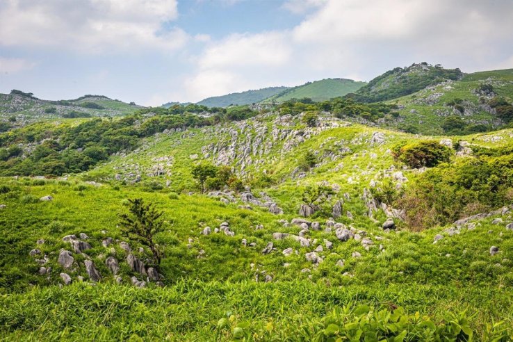 Hiraodai’s karst landscape holds geological wonders rich in wildlife