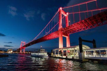 The distinctive Wakato Bridge can be seen from the mountain but is an attraction in itself