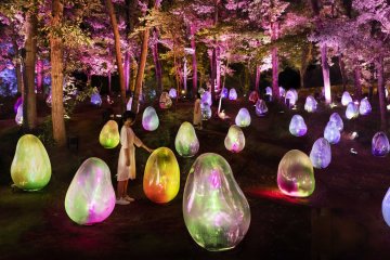 Permanent TeamLab Exhibit Coming to Osaka