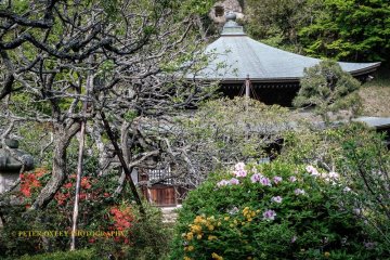 Kamakura Camera - Zuisenji Temple