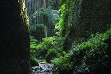 The Magical Ioki Cave