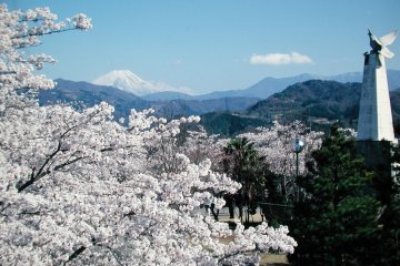 Unparalleled springtime views