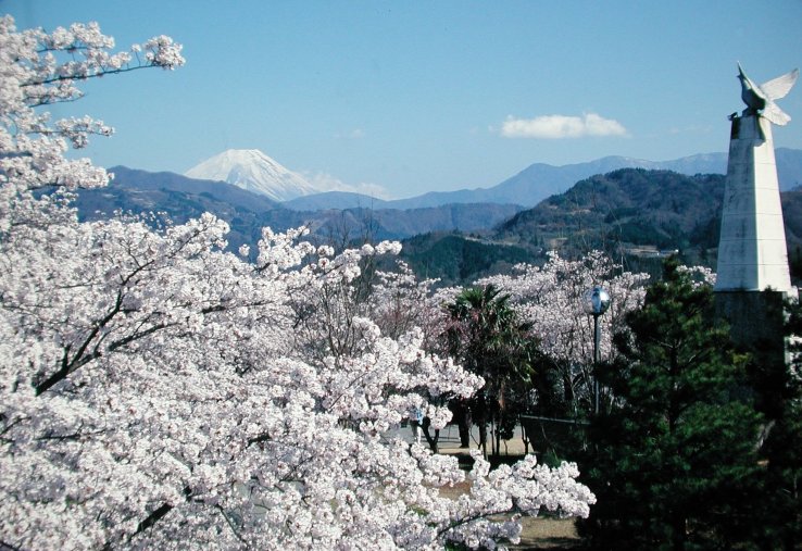 Unparalleled springtime views