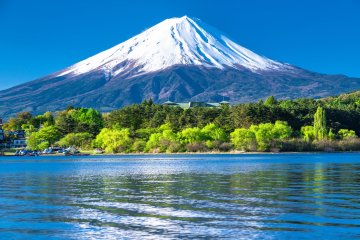 Rejuvenate Your Mind, Body, and Soul in Yamanashi