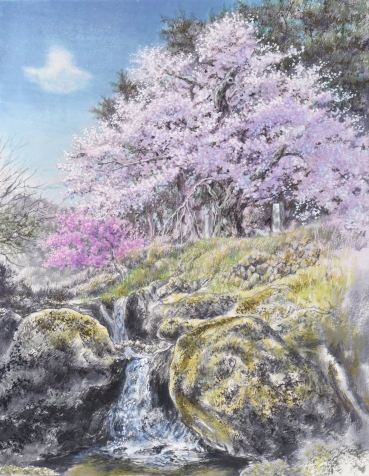 Painting of a very old cherry tree in Yamanashi