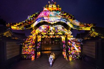 NAKED Flowers at Nijo Castle 2022