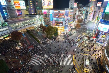 Japan's Border Reopening on October 11th