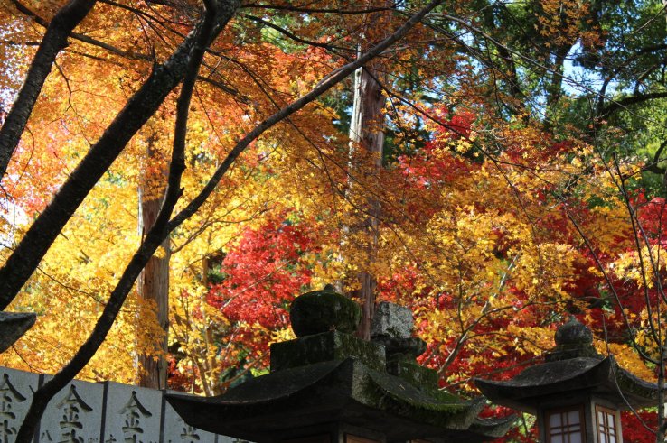 Kotohira Shrine