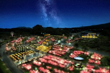 Moonlight Rose Garden 2026-2027
