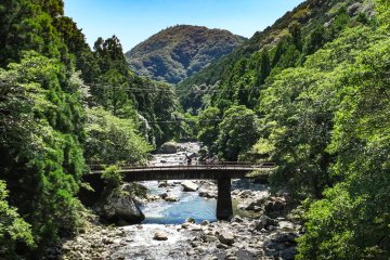 Cycling in Southern Wakayama