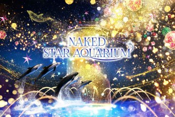 Naked Star Aquarium✨ 2022